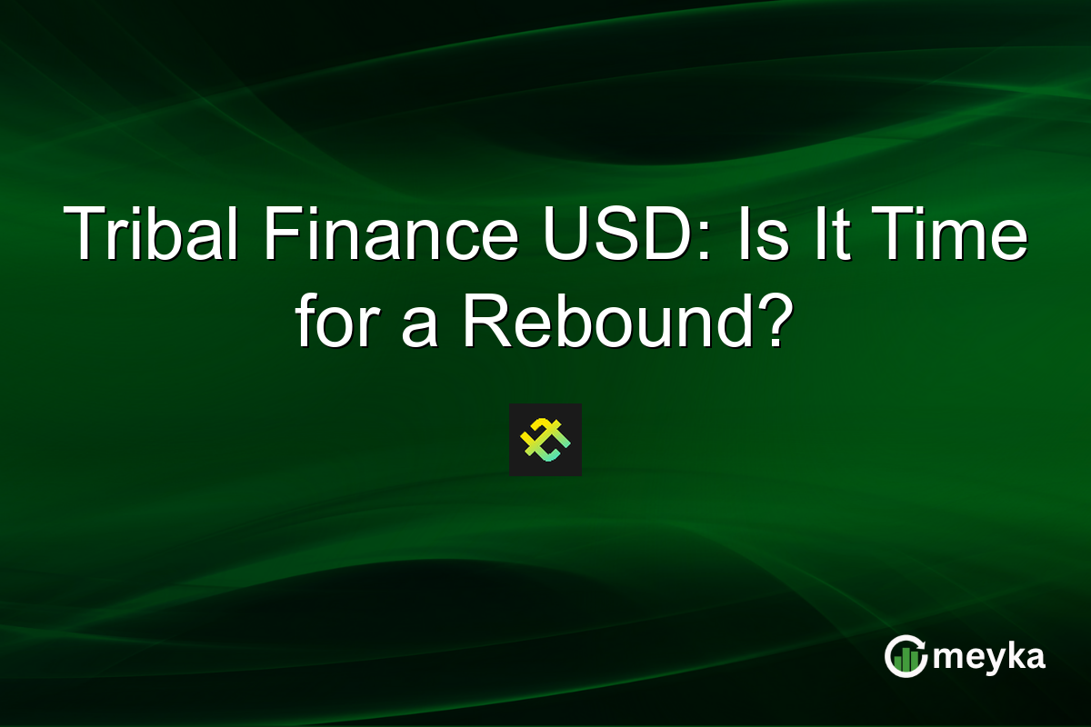Tribal Finance USD: Is It Time for a Rebound?