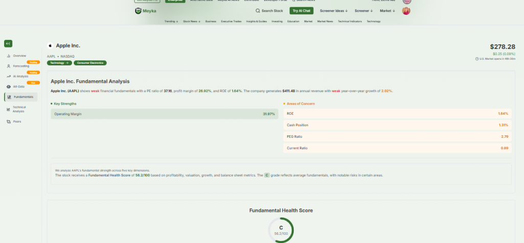Meyka Fundamental Analysis Feature