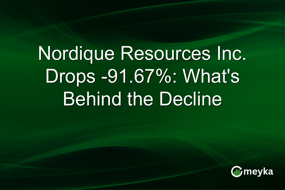 Nordique Resources Inc. Drops -91.67%: What's Behind the Decline