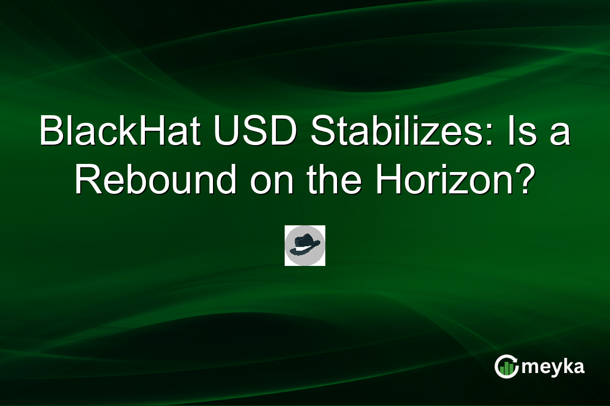 BlackHat USD Stabilizes: Is a Rebound on the Horizon?